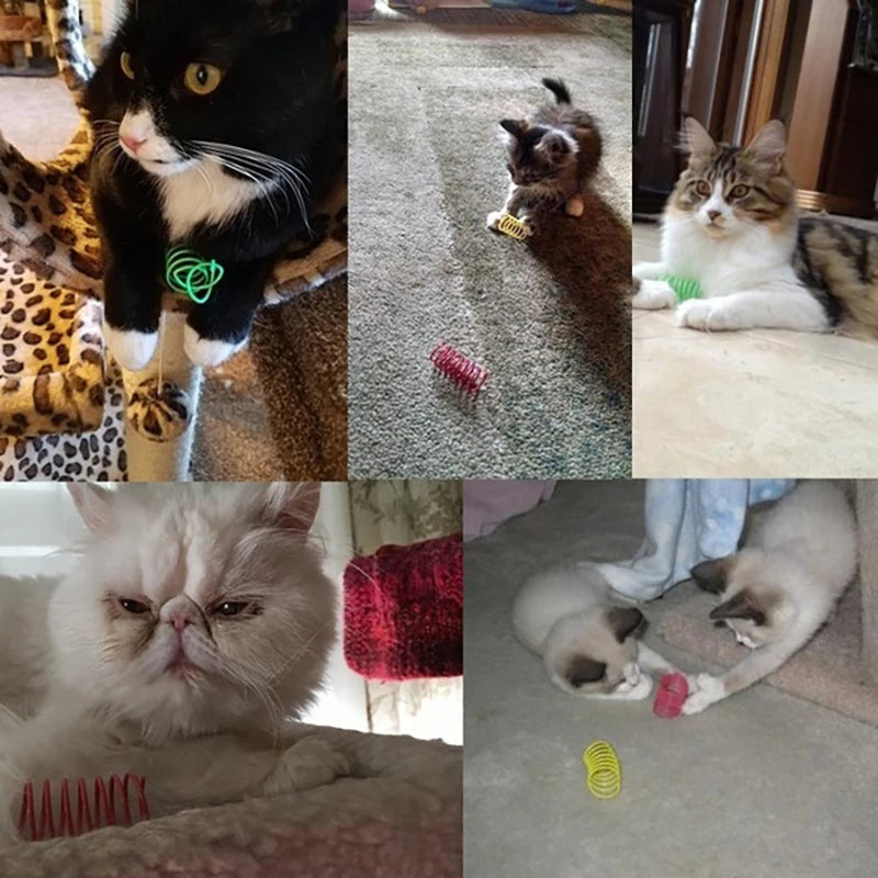 THE VIRAL KITTIE™ CRAZY SPRINGS