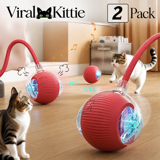 THE VIRAL KITTIE™ SMART ROLLER